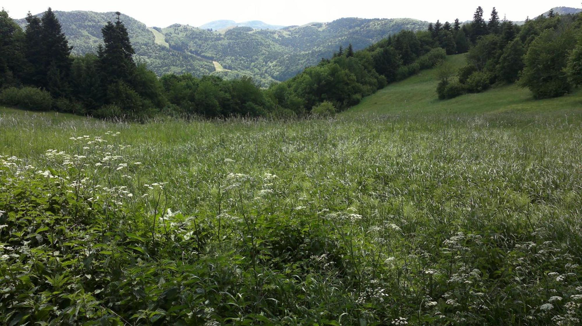 Apartmany Weissov Dom Banská Štiavnica المظهر الخارجي الصورة